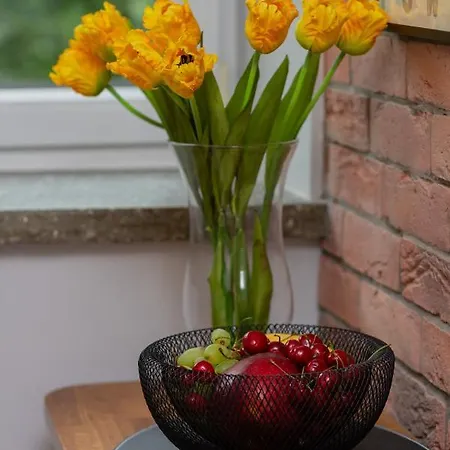 Solec Wilanowska By Renters Varsó